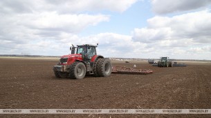 Аграрии Гродненской области завершили сев ранних яровых и зернобобовых культур