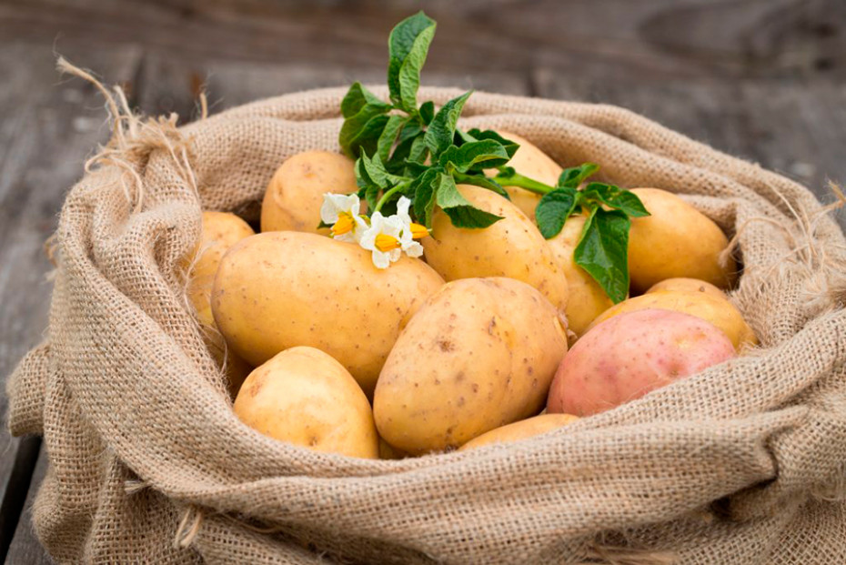 Где и когда горожане могут купить картофель – обсуждали на районной планёрке